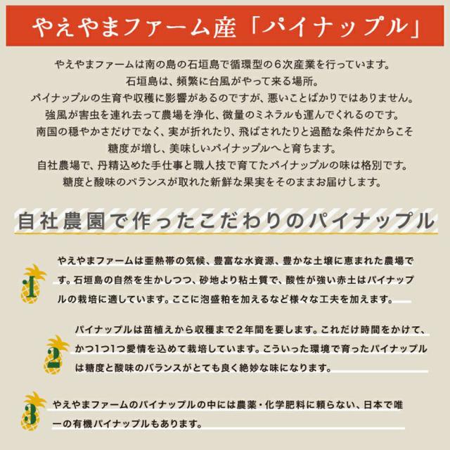 石垣島産 ピーチ種