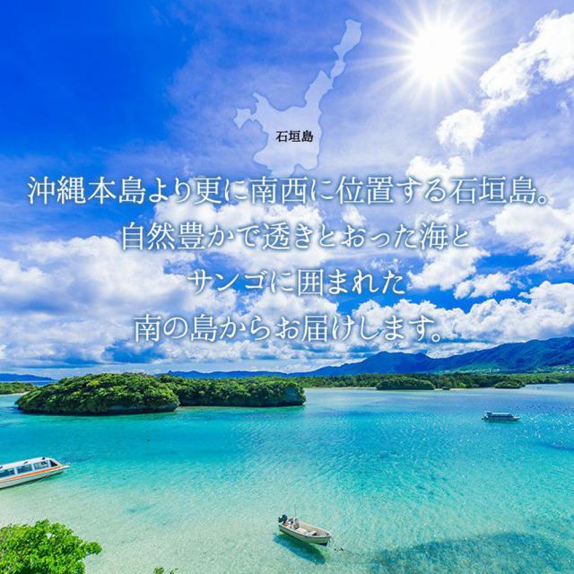 石垣島産 ピーチ種