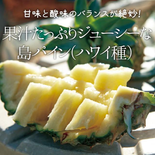 石垣島産 ハワイ種