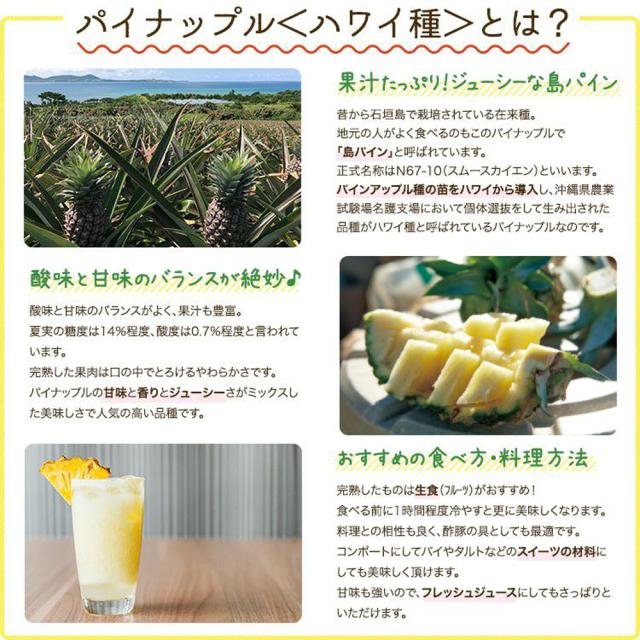 石垣島産 ハワイ種