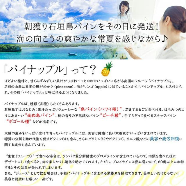 石垣島産 ハワイ種