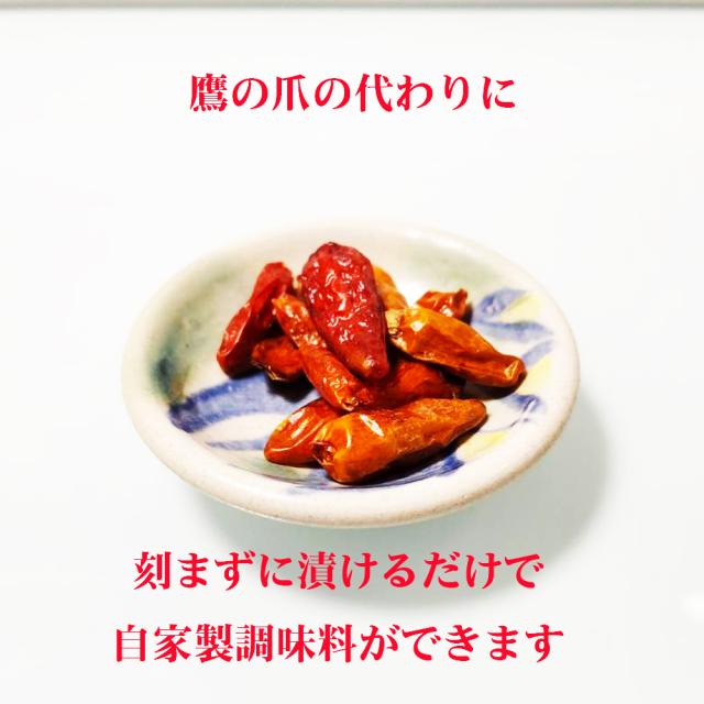 OKINAWA 島唐研究所