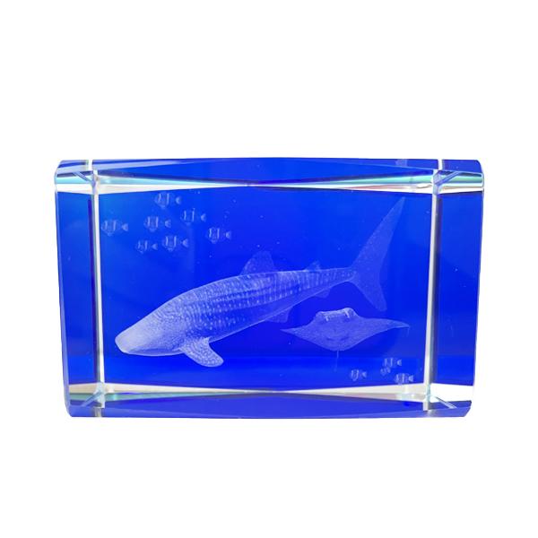 3DクリスタルXLジンベエザメ