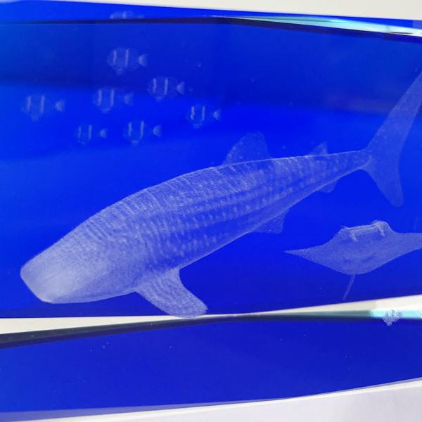 3DクリスタルXLジンベエザメ