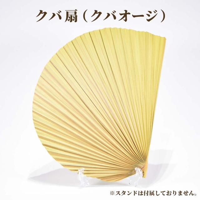 くば扇 大