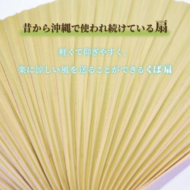 くば扇 大