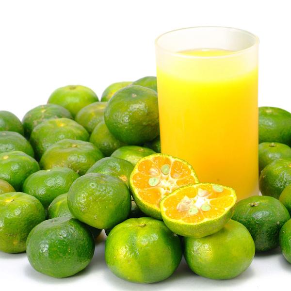 山原シークヮーサー