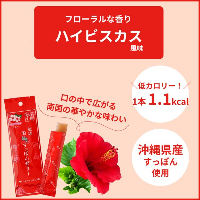 琉球 美すっぽんぜりー