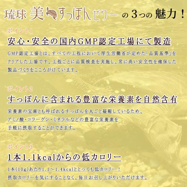 琉球 美すっぽんぜりー