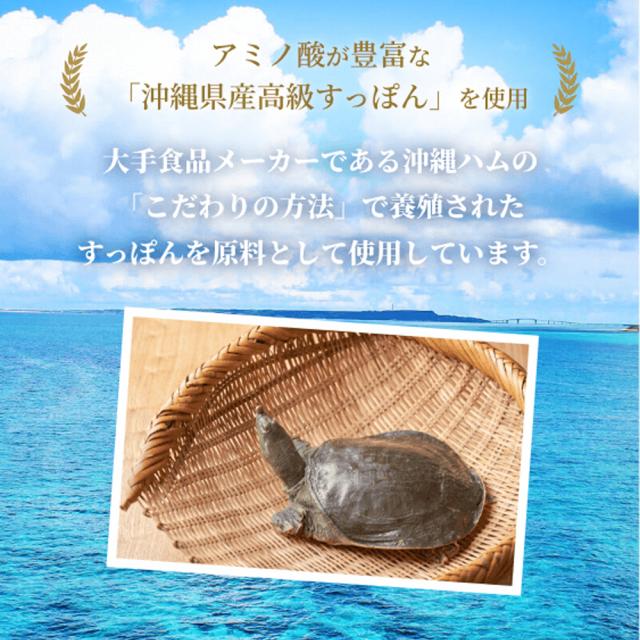 琉球 美すっぽんぜりー