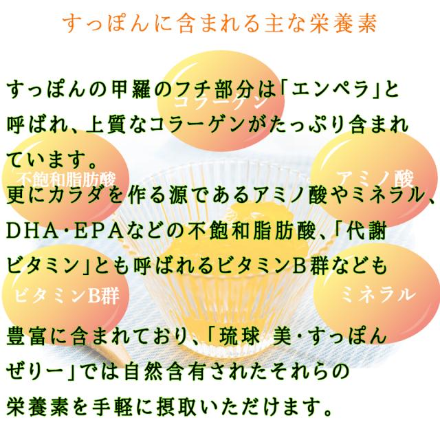 琉球 美すっぽんぜりー マンゴー風味