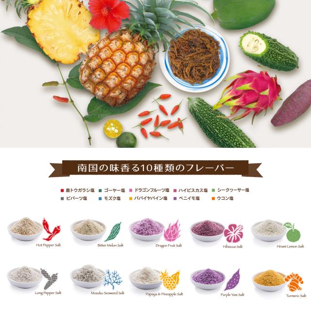 塩彩 ミニボトル 10種類セット