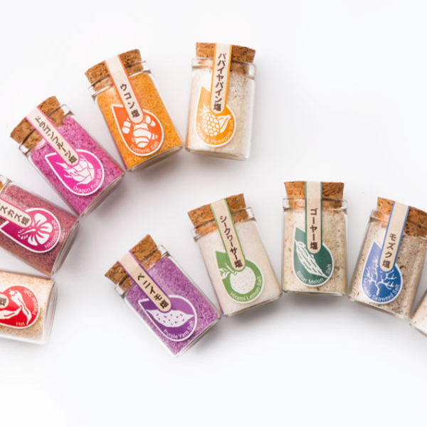 塩彩 ミニボトル 10種類セット