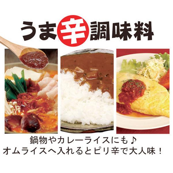 涙そーそー島とうがらし味噌じゃん