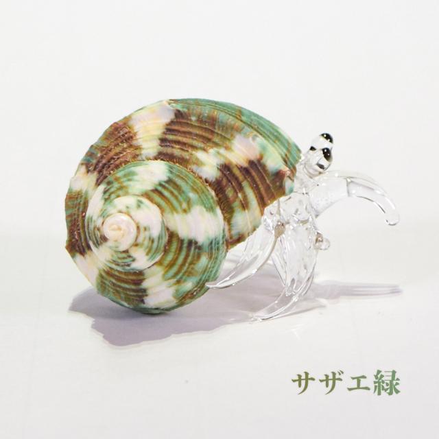 ガラスヤドカリ