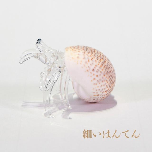 ガラスヤドカリ