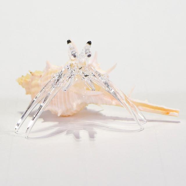 ガラスヤドカリ
