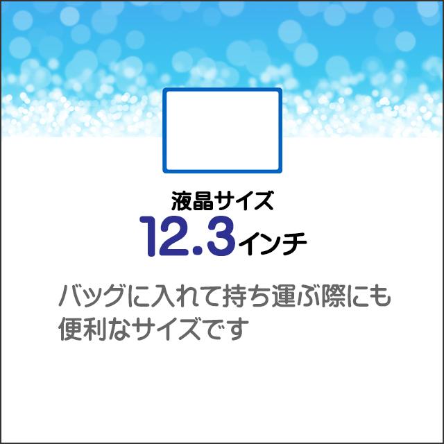 LCD★12.3型液晶ディスプレイ