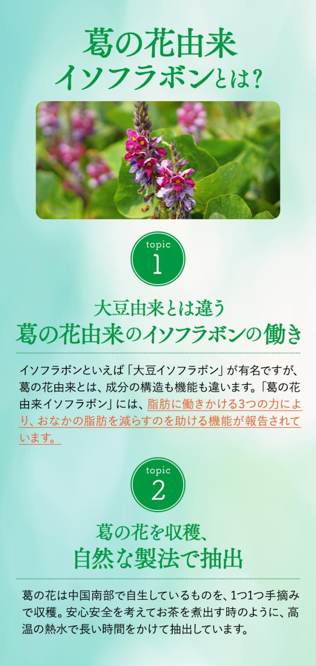 大正製薬 おなかの脂肪が気になる方のタブレット 葛の花由来 イソフラボン レビューでポイント5％】公式 大正製薬 おなかの脂肪が気になる方の