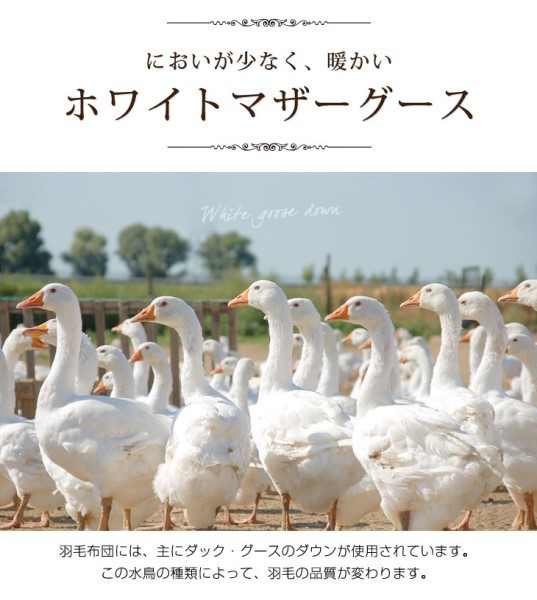 羽毛布団 セミダブル 掛け布団 神々の羽毛 10年保証 超長綿 160番手