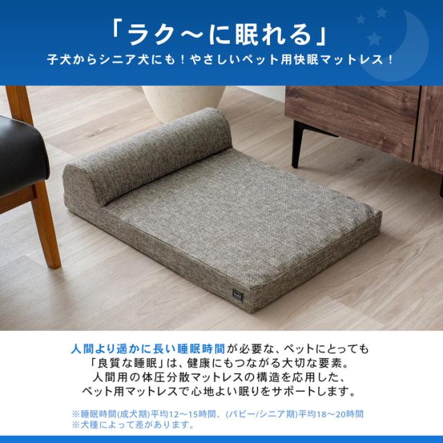 子犬からシニア犬