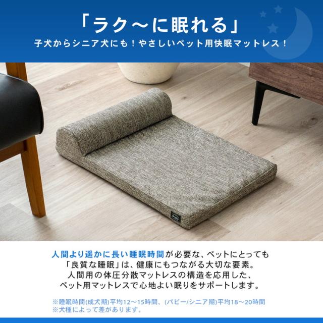 子犬からシニア犬