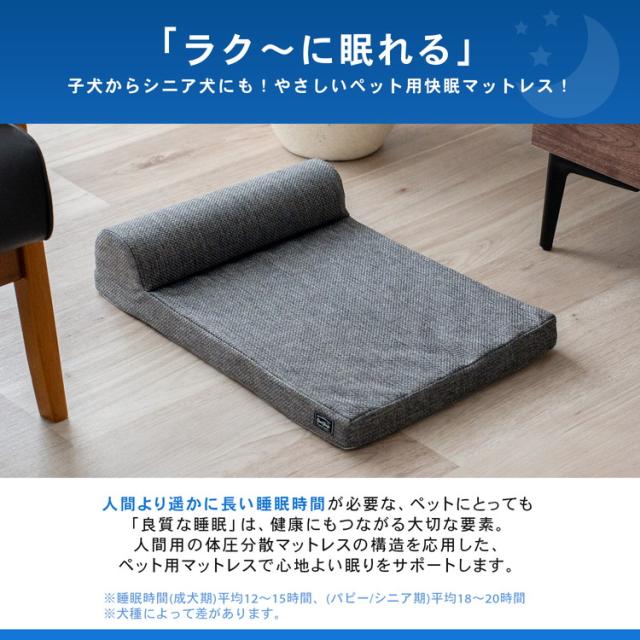 子犬からシニア犬