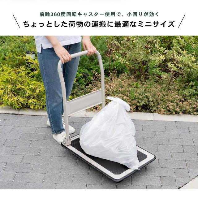 ミニサイズ