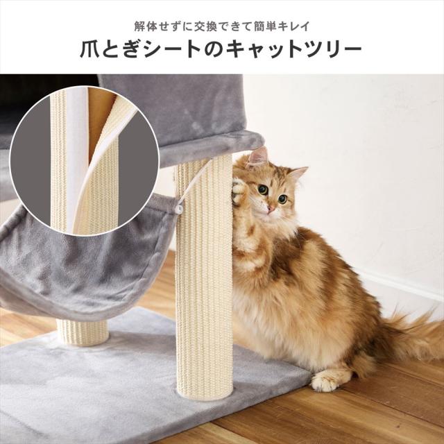 爪とぎ