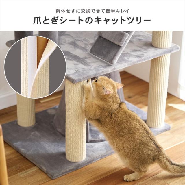 爪とぎ