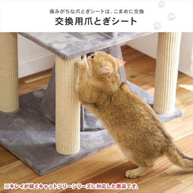 交換用爪とぎ