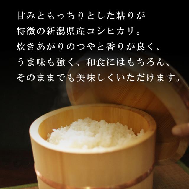 コシヒカリ