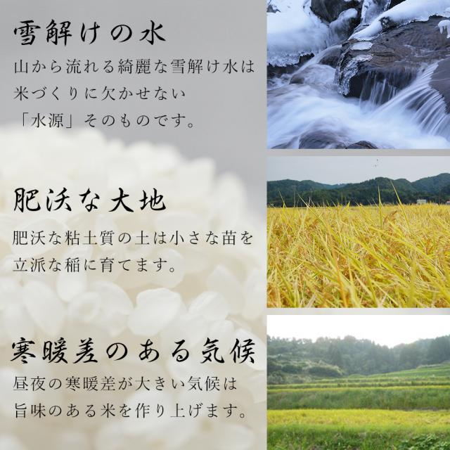 美味しいお米