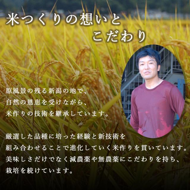 米つくりのこだわり