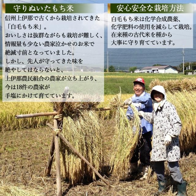 上伊那農民組合