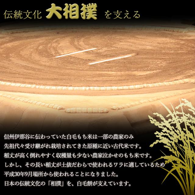 大相撲を支える