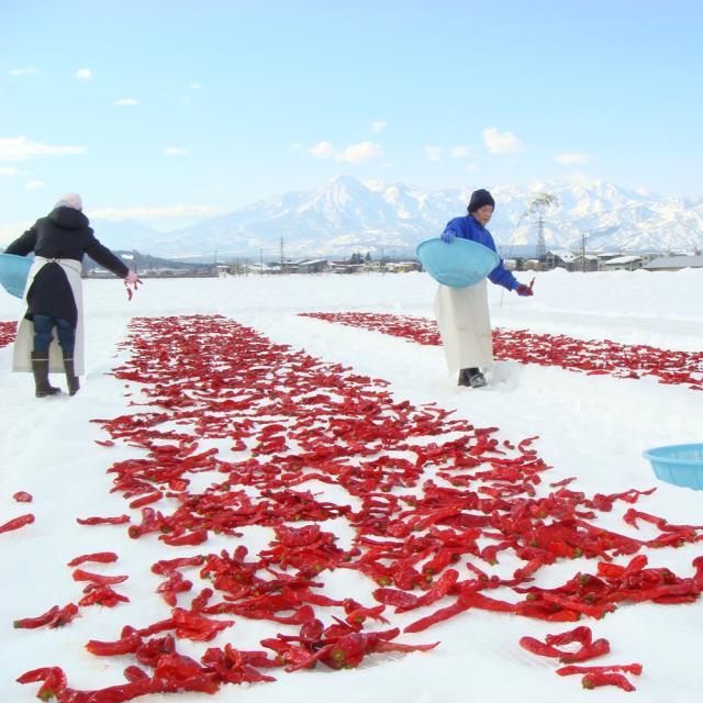 唐辛子雪さらし 唐辛子雪さらし