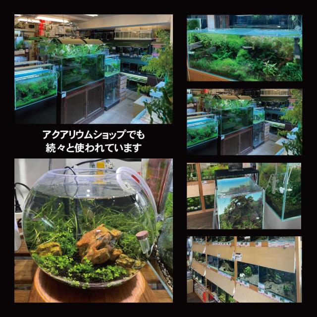 esAqua 水槽 バック スクリーン (450×300) LEDライト PSE認証