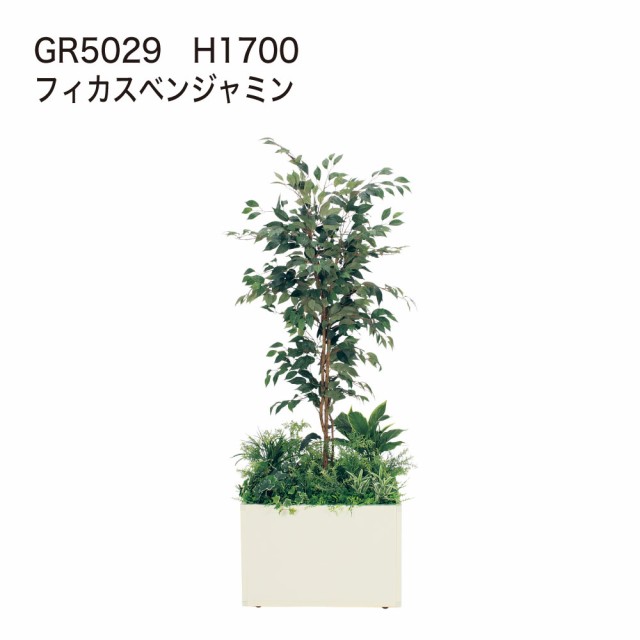 正規代理店】BELK GreenMode ベルク グリーンモード 寄せ植え