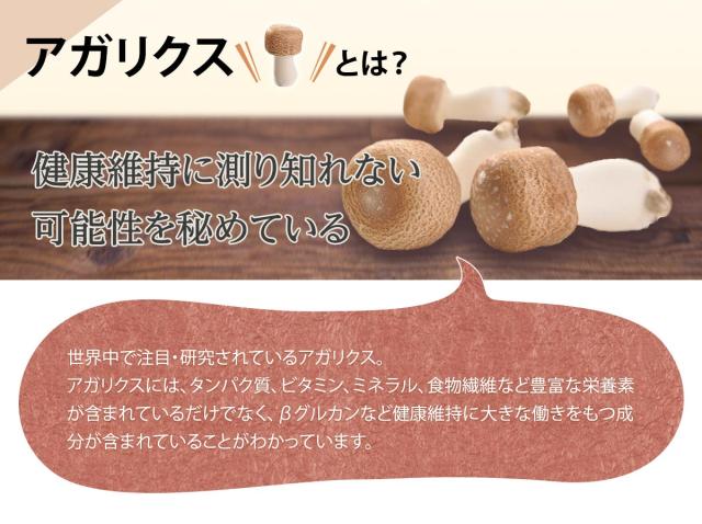 アガリクスとは? 健康維持に測り知れない可能性を秘めている 世界中で注目・研究されているアガリクス。 アガリクスには、健康維持に大きな働きをもつ成分が含まれていることがわかっています。