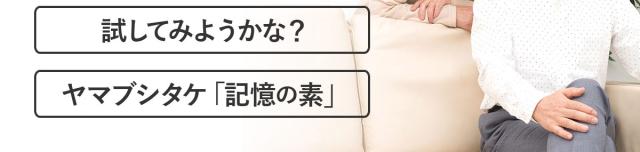 始めてみようかな?ヤマブシタケ「記憶の素」