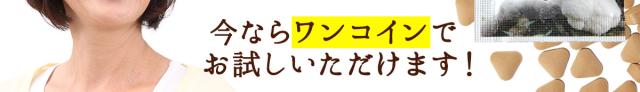今ならワンコインでお試しいただけます。