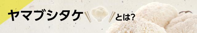 ヤマブシタケとは?