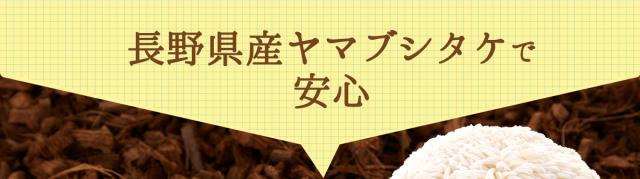 長野県産ヤマブシタケで安心