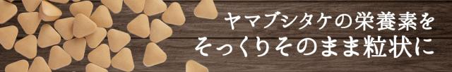 ヤマブシタケの栄養素を そっくりそのまま粒状に