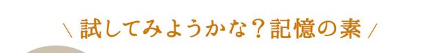 試してみようかな?記憶の素