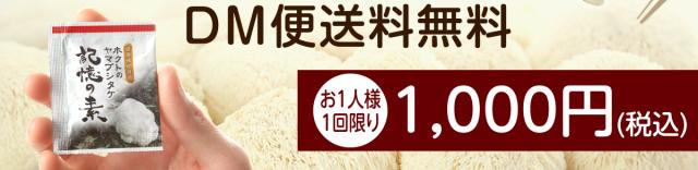 DM便送料無料 ワンコイン500円