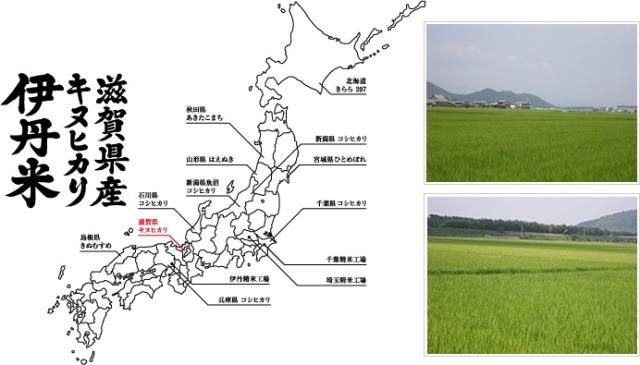 滋賀県産キヌヒカリ産地画像