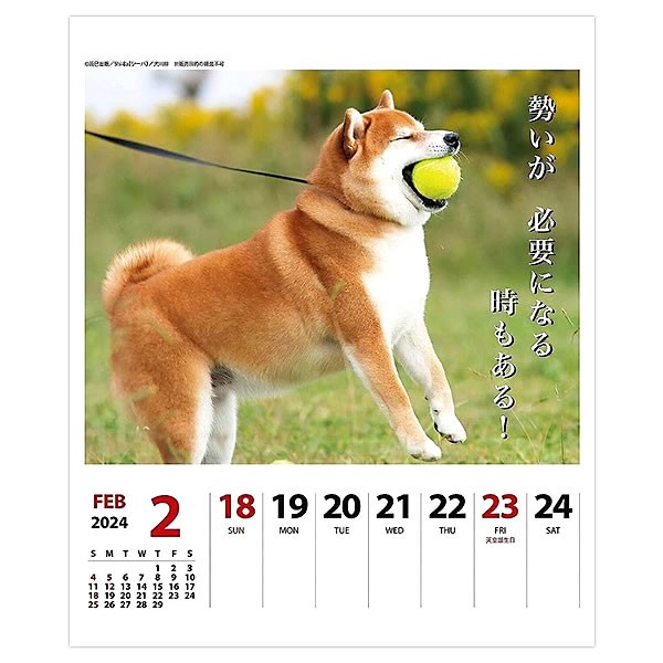 2024年 犬川柳(週めくり)カレンダー No.024 - 本・雑誌・コミック