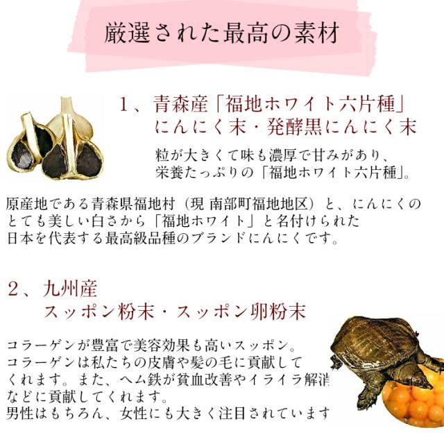 超目玉 送料無料 スッポンにんにく卵黄油プレミアム 60粒 4 メール便 すっぽん にんにく サプリ 美容 健康 ダイエット 卵黄 黒酢 もろみ末 コラ セール30 Off Carlavista Com